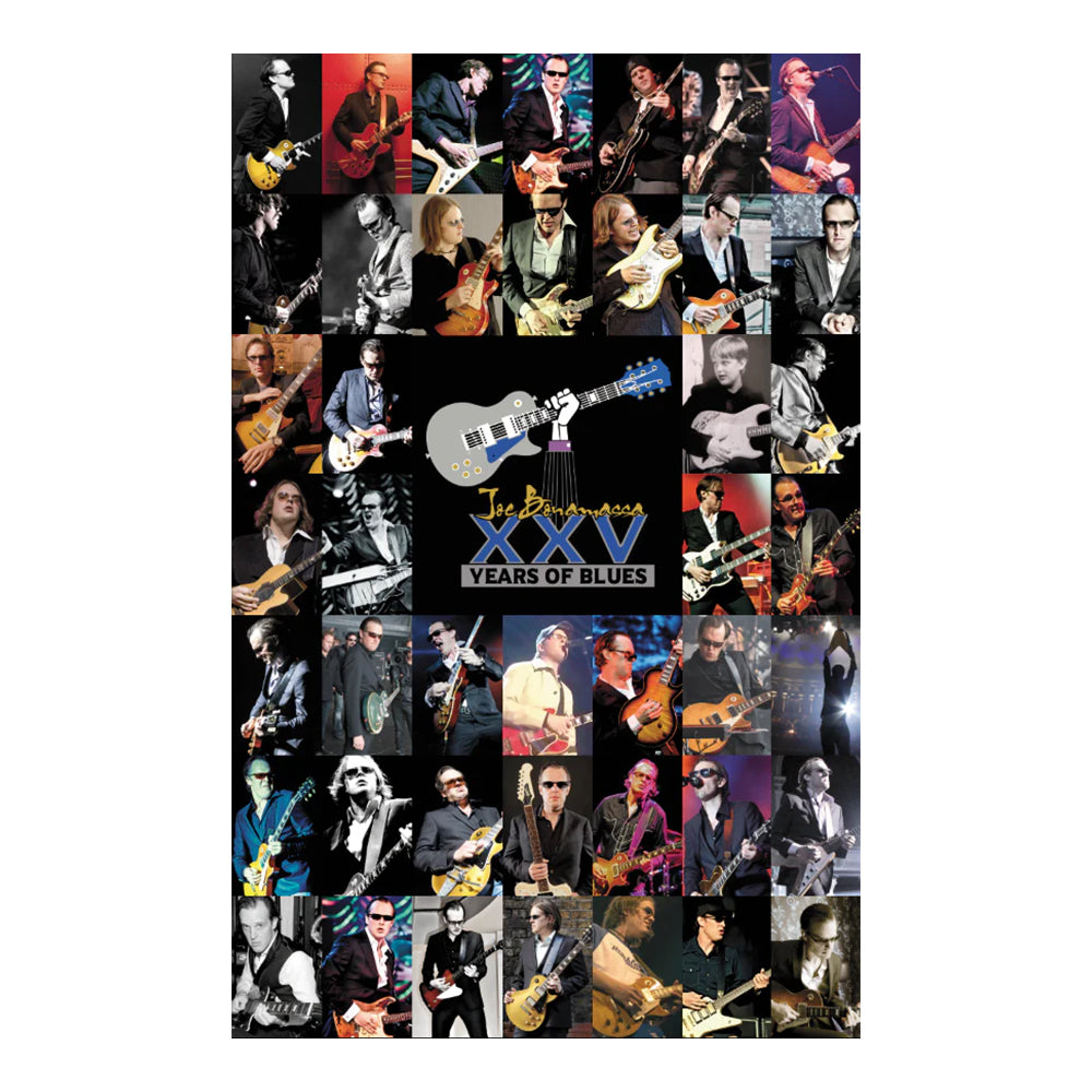 25th Anniversary Celebratory Poster