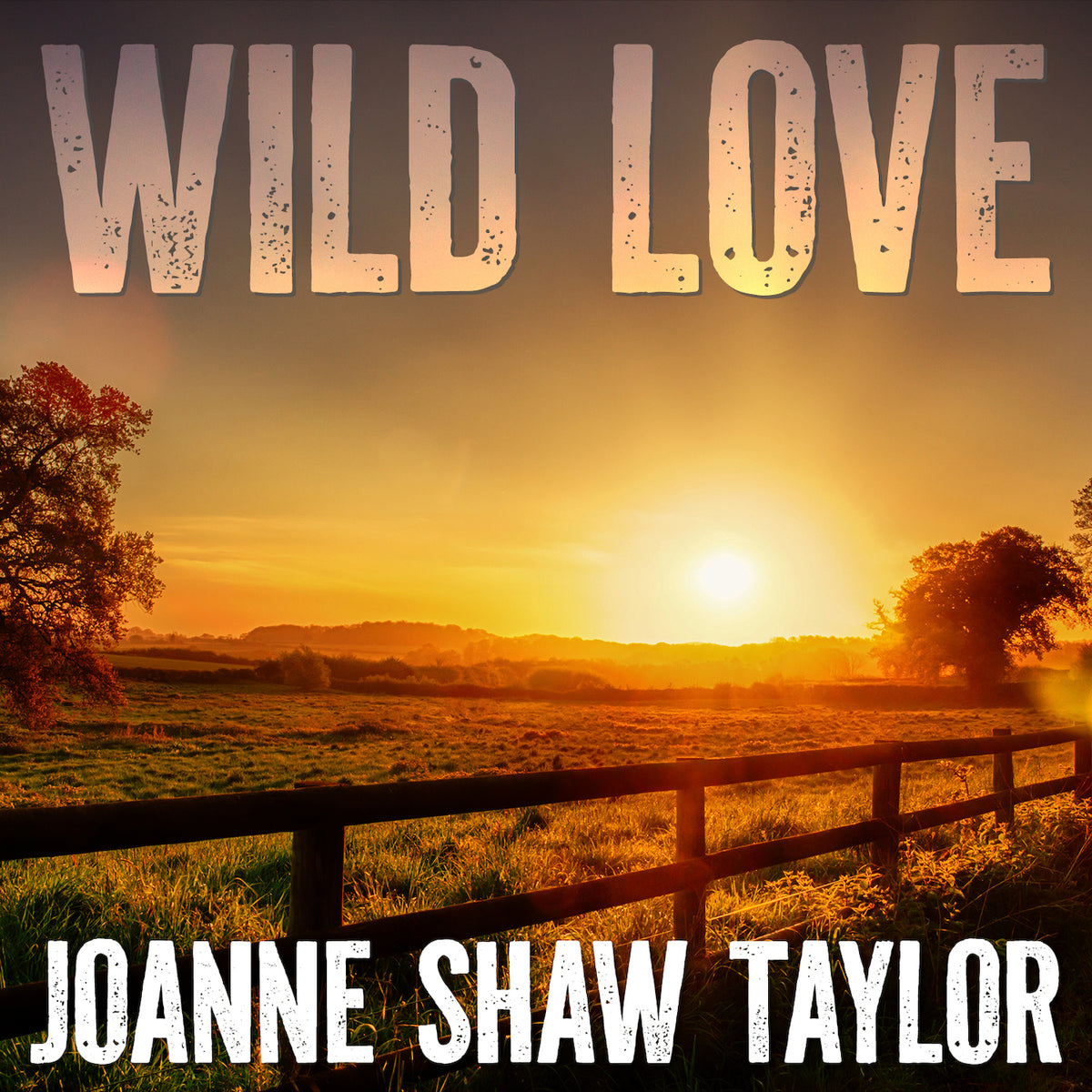 Joanne Shaw Taylor: "Wild Love" - Single