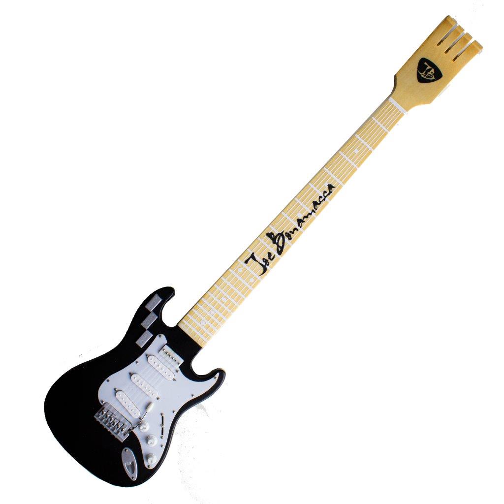 Stratocaster Back Scratcher