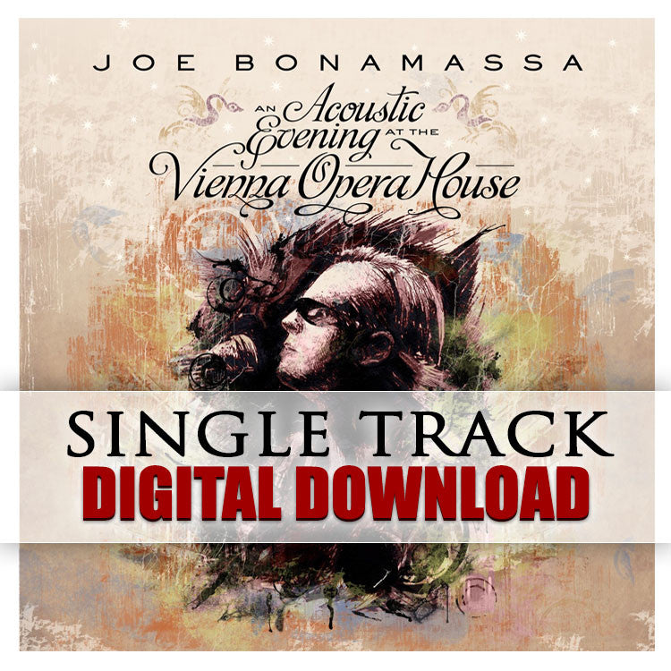 An Acoustic Evening at the Vienna Opera House - Digital Singles