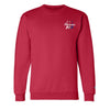 Triple Flying V Champion Crewneck Sweatshirt (Unisex)