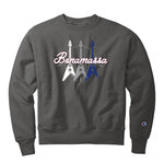 Triple Flying V Champion Reverse Weave Crewneck Sweatshirt (Unisex)